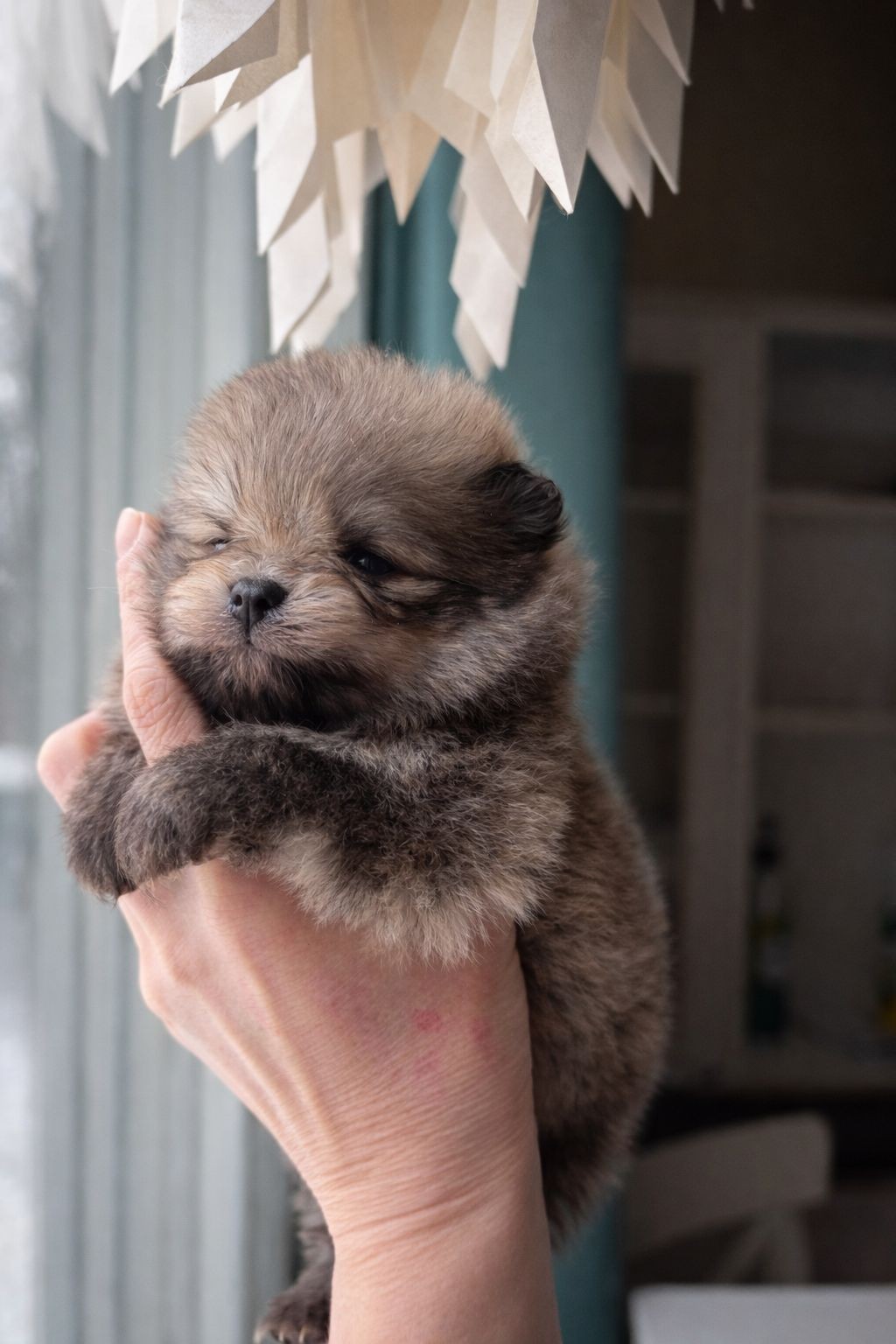 Toinen pikkutyttö / vapaa / 3000€