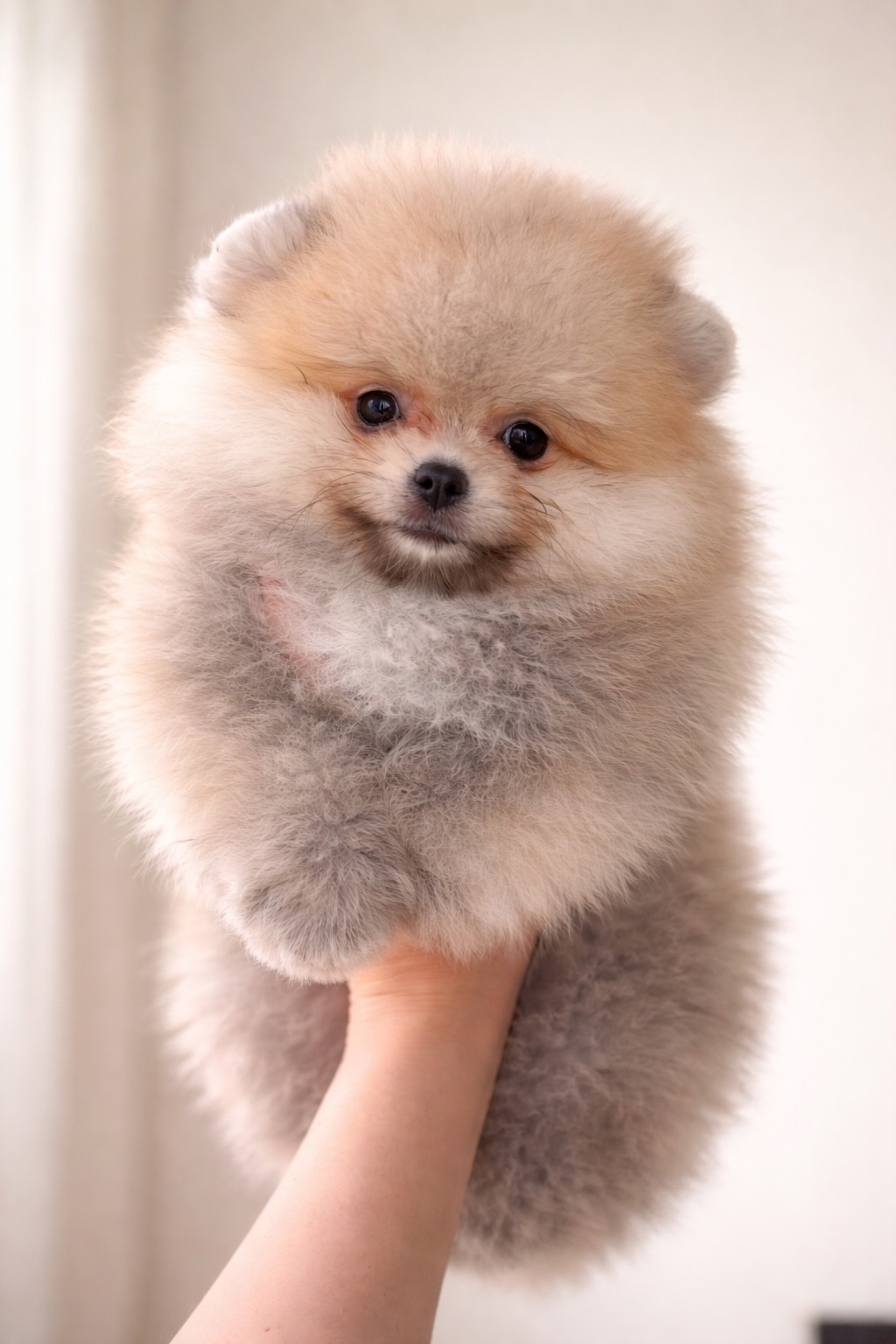 15.02.2026 syntynyt poika kuva 2.