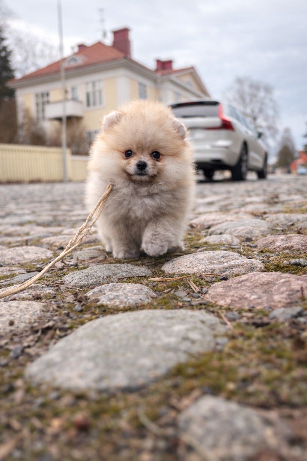 15.02.2026 syntynyt poika