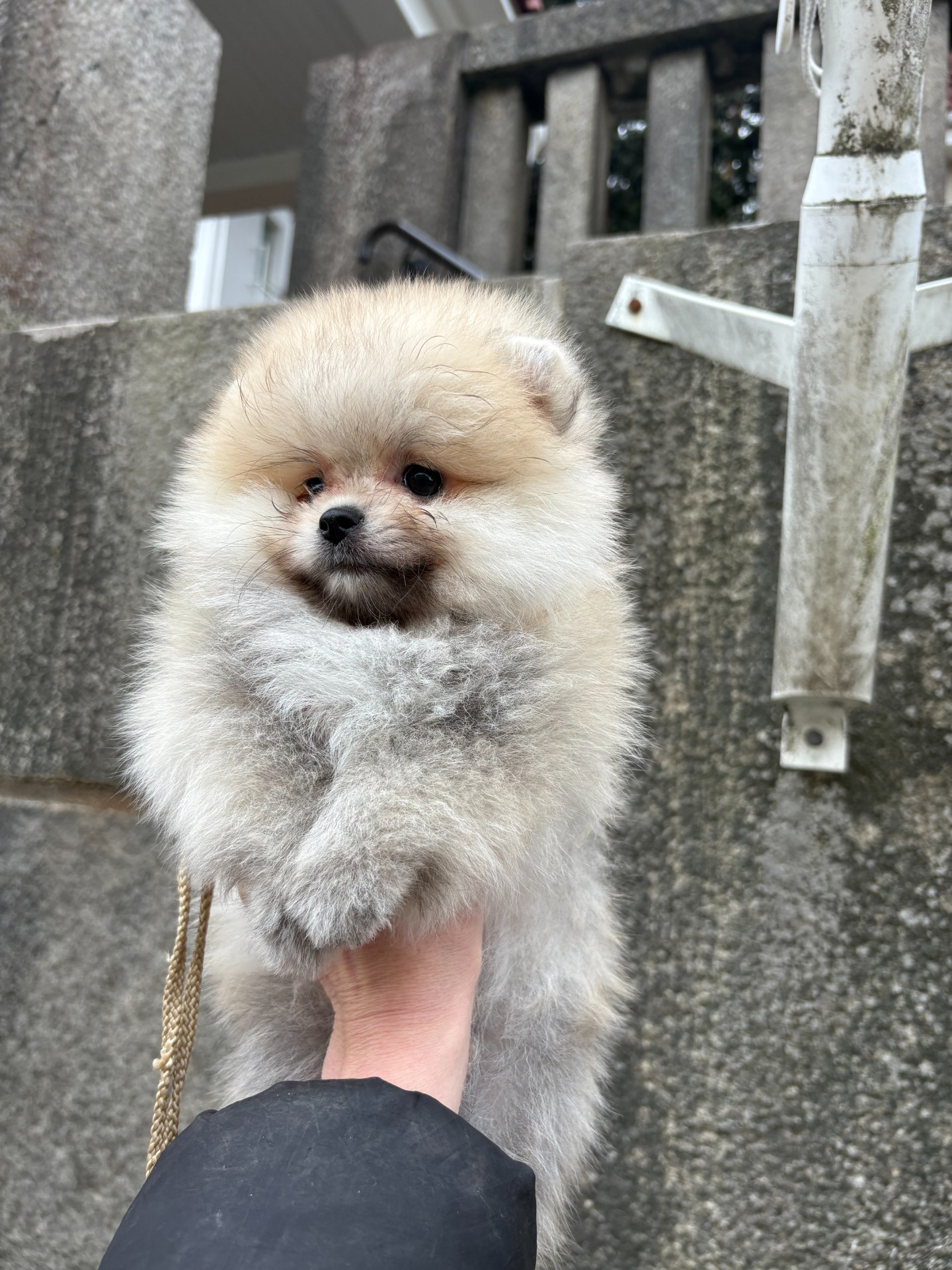 15.02.2026 syntynyt poika